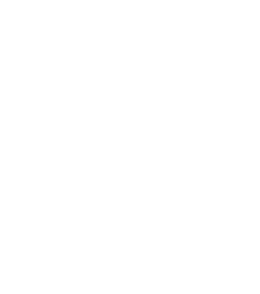 BAAI Logo